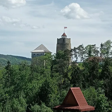 Guest house Pod Grusza 3*